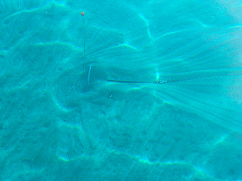http://kb.rocna.com/wiki/images/thumb/9/90/Rocna-set-underwater-Ionian-Sea.jpg/800px-Rocna-set-underwater-Ionian-Sea.jpg